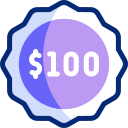 100 dolares icon