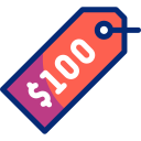 100 dolares icon