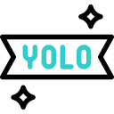 yolo icon