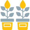 plantas icon