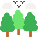 bosque icon