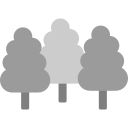 Árbol icon