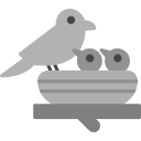 pájaro icon