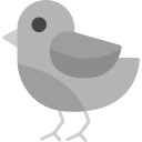 pájaro icon