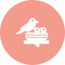 pájaro icon