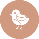 pájaro icon