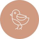 pájaro icon