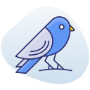 pájaro icon