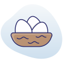 nido icon