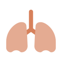 pulmones icon