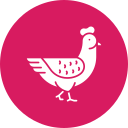 pollo icon