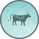 vaca icon