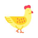 pollo icon