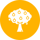 Árbol de frutas icon