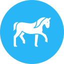 caballo icon