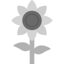 girasol icon