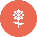 girasol icon