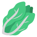 lechuga icon