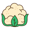 coliflor icon