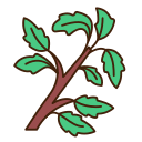 albahaca icon