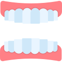 dentadura postiza icon