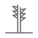 naturaleza icon