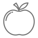 Fruit icon