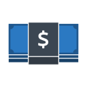 Money icon