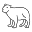 animal icon