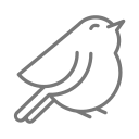 pajaro feliz icon