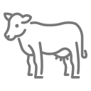 Farm 