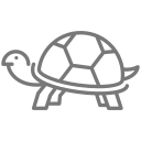 tortuga mascota icon