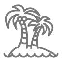 palmera icon