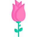 rosa icon