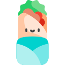 burrito icon