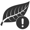 Leaf icon