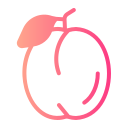 ameixa icon