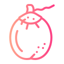 noix de coco icon