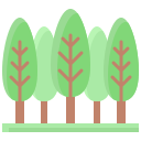 bosque icon