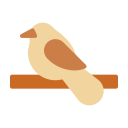 pájaro icon