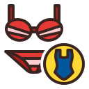 bikini icon