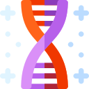 Dna