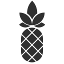 Fruit icon