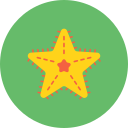 estrella de mar icon