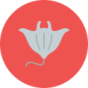 mantarraya icon