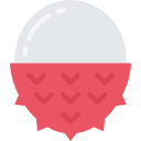 lychee icon