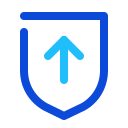 seguridad icon