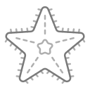 estrella de mar icon