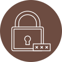 pin seguridad icon