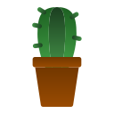 cactus icon